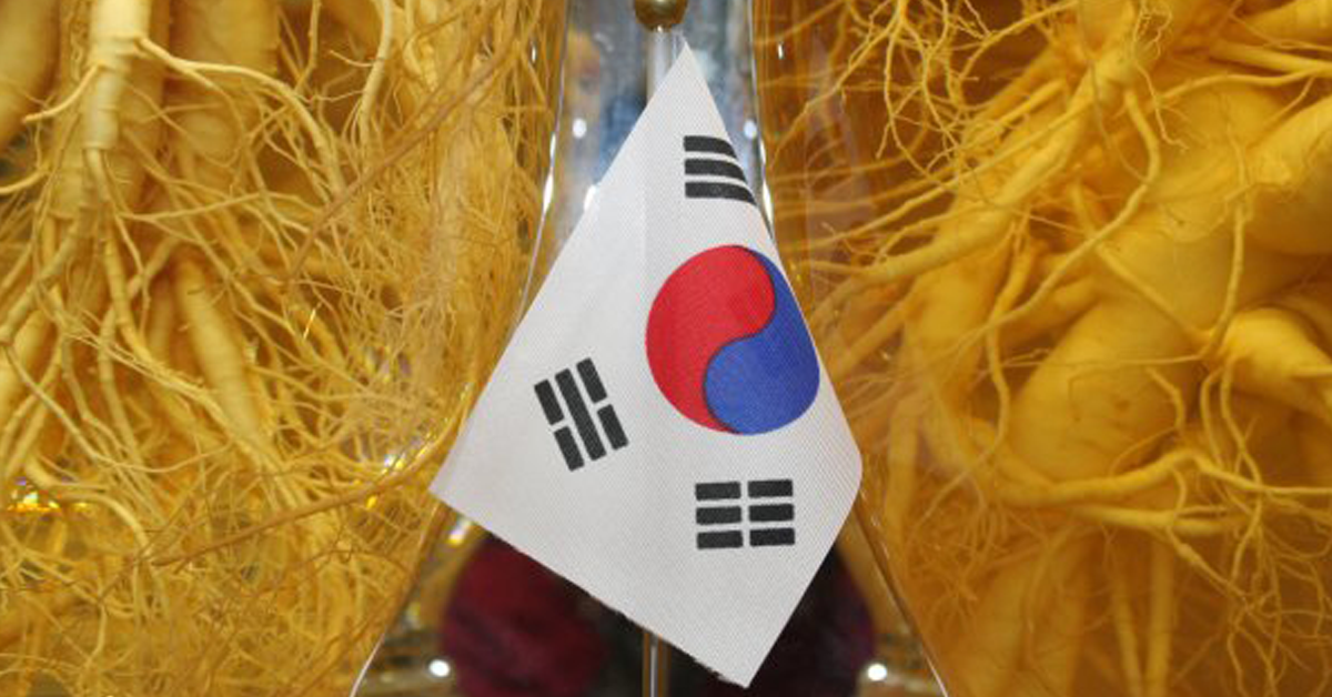 Three Students from UIN Jakarta Share Knowledge of Islamic religious Studies in South Korea